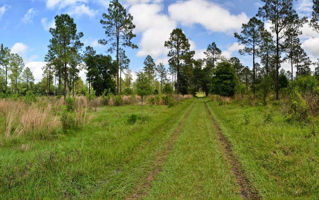 Lower Green Swamp Preserve | 3540 E Knights Griffin Rd, Plant City, FL 33565, USA | Phone: (813) 757-3713