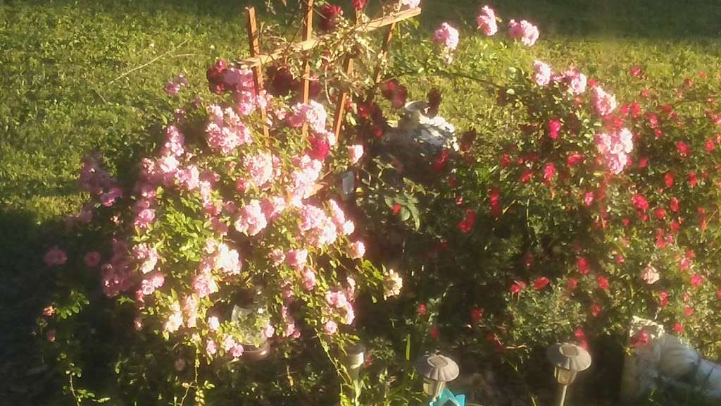 Kimtreyco | 25167 Ivy Ln, Cleveland, TX 77328, USA | Phone: (832) 472-9501