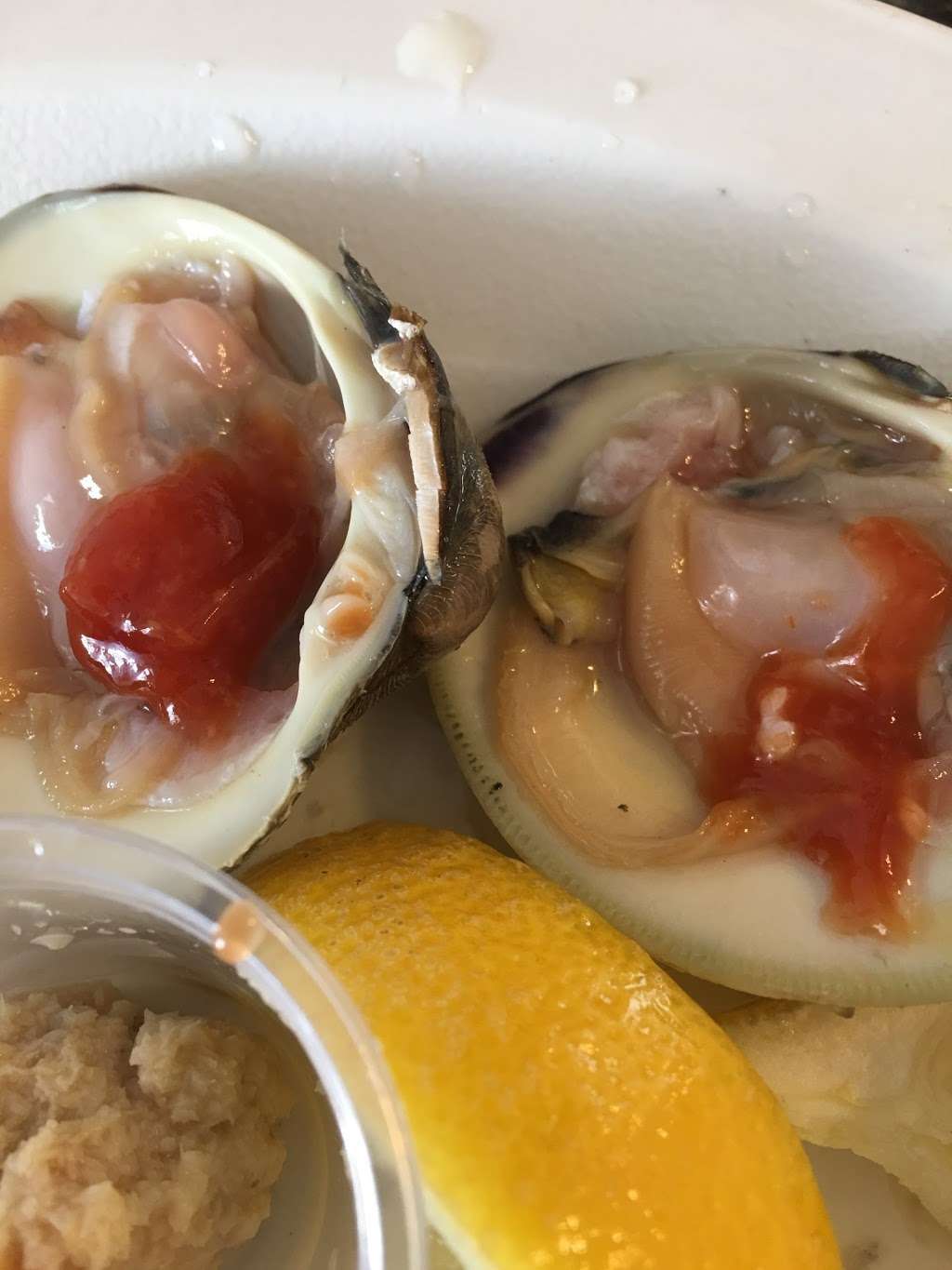 Harvey Cedars Shellfish Co. | 506 Centre St, Beach Haven, NJ 08008, USA | Phone: (609) 492-2459 Harvey Cedars Shellfish Co. | 506 Centre St, Beach Haven, NJ 08008, USA | Phone: (609) 492-2459
