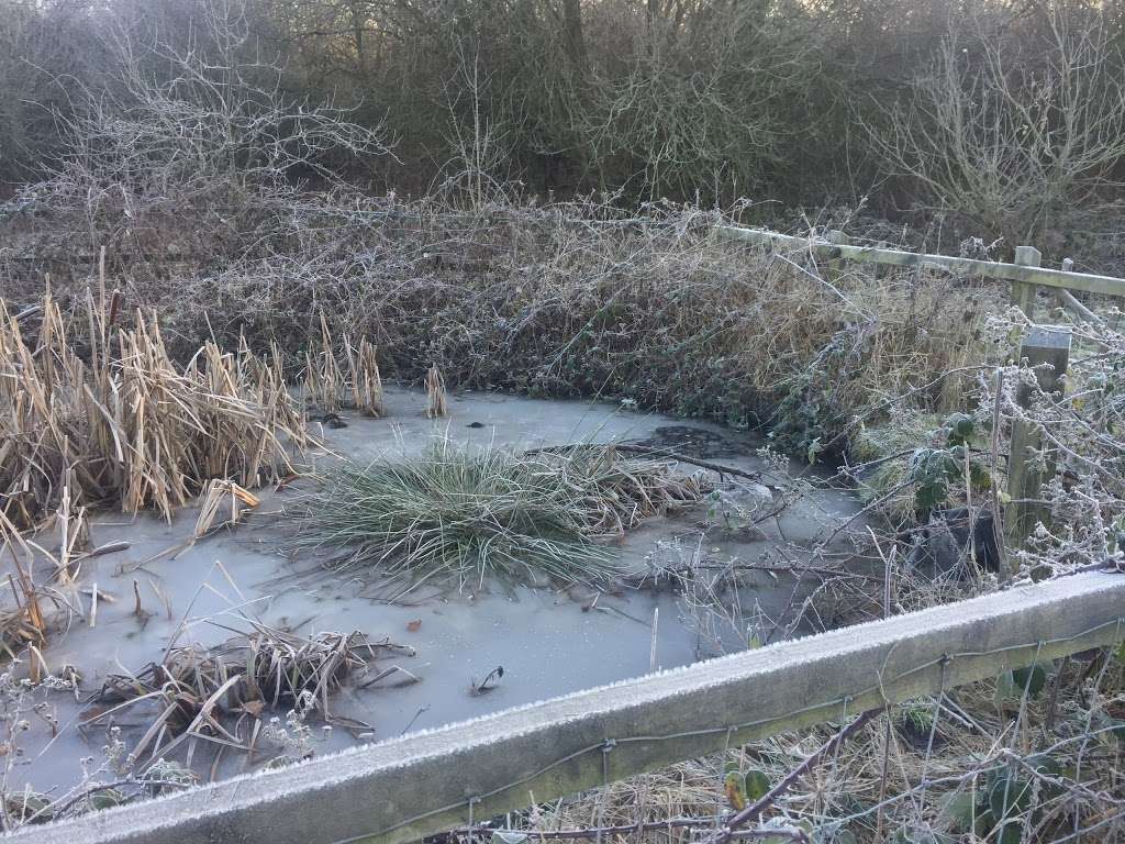 Pond and Rotary Centennial Wildlife Area | Colney Heath, St Albans AL4 0EZ, UK