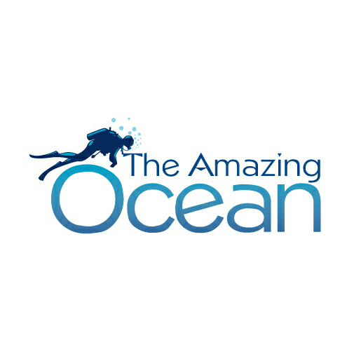The Amazing Ocean | 7940 N Flint Hill Rd, Owings, MD 20736, USA | Phone: (301) 246-6201