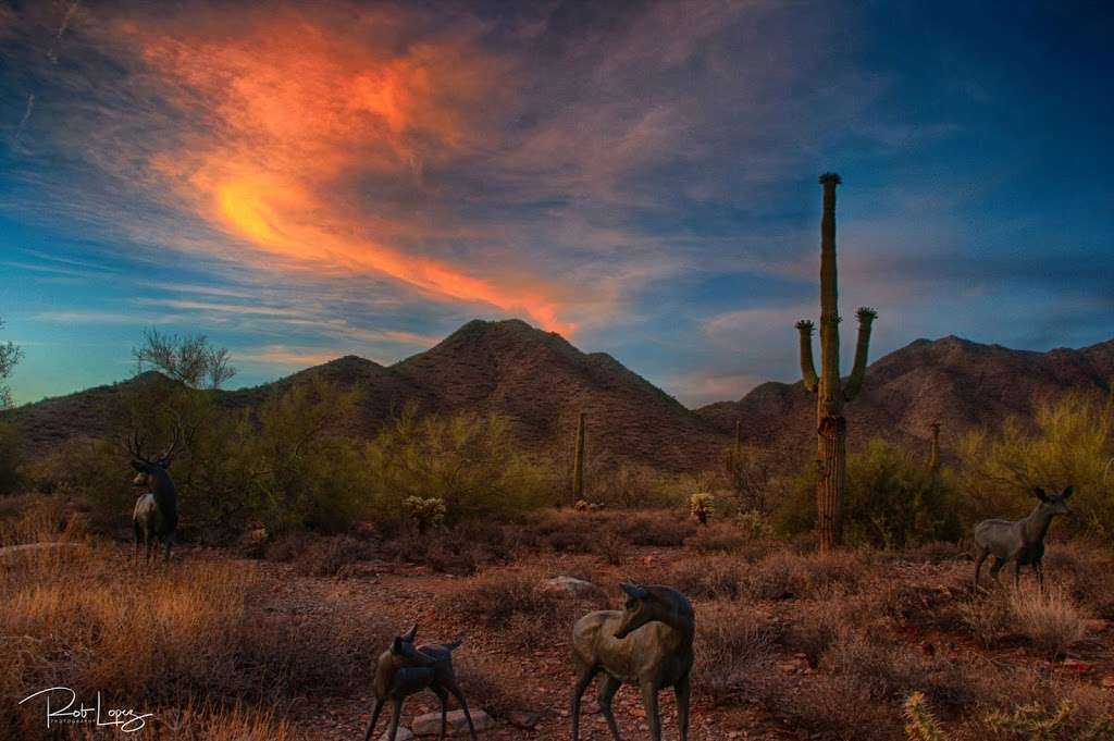 Trail Head Preserve - McDowell Mountains | Scottsdale, AZ 85255, USA