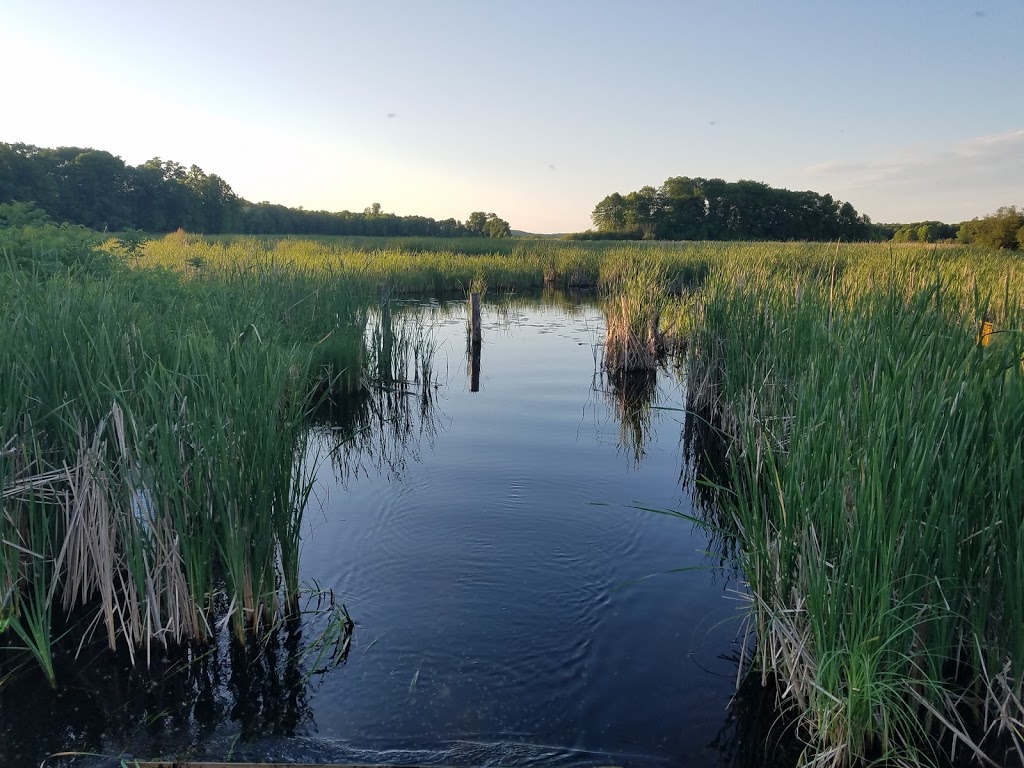 Big Marine Park Reserve | 17495 Manning Trail N, Marine on St Croix, MN 55047, USA | Phone: (651) 430-8200