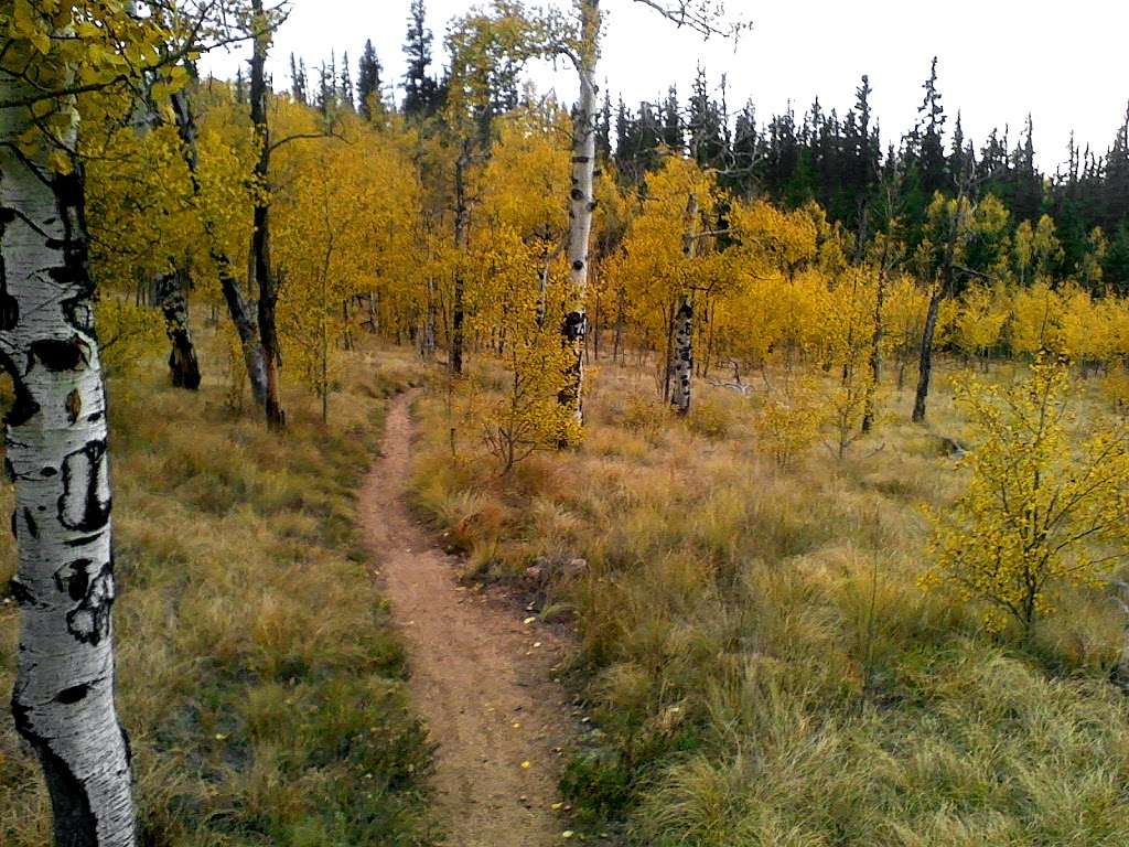 Colorado Trail Section #5 Trailhead | Colorado Trail, Jefferson, CO 80456, USA