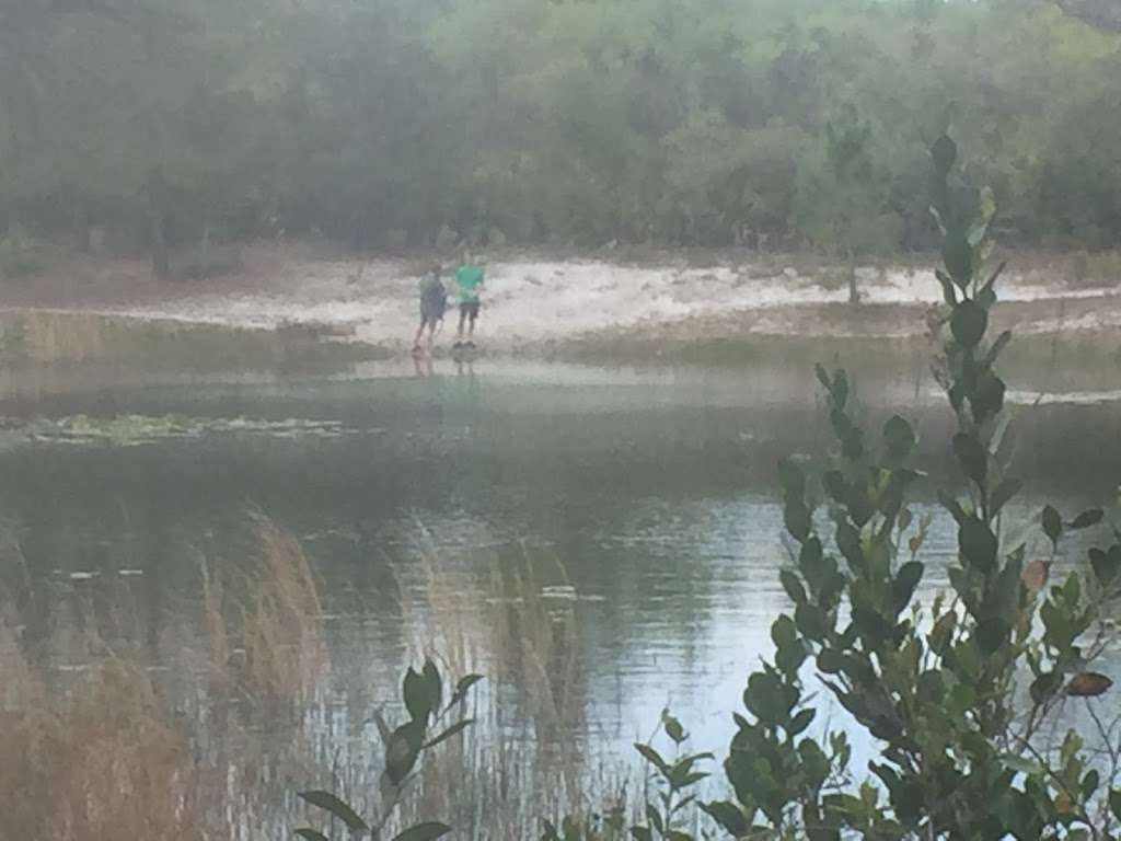 Hidden Pond | Florida