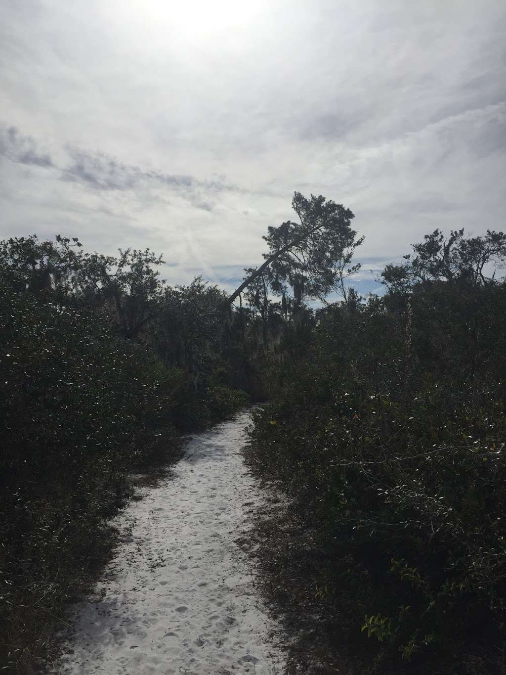 Longhorn Loop Trailhead | Golden Oak, FL 32836, USA | Phone: (407) 254-9038