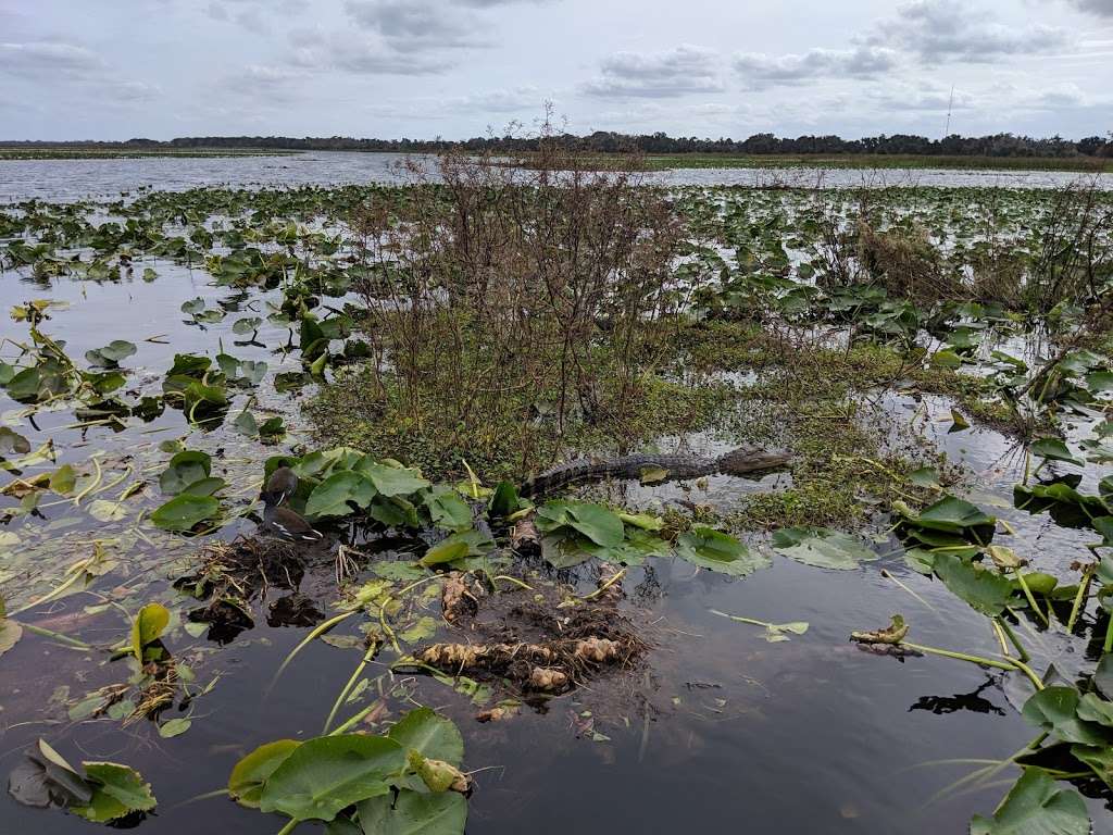 Boggy Creek Airboat Adventures | 2001 E Southport Rd, Kissimmee, FL 34746, USA | Phone: (407) 344-9550