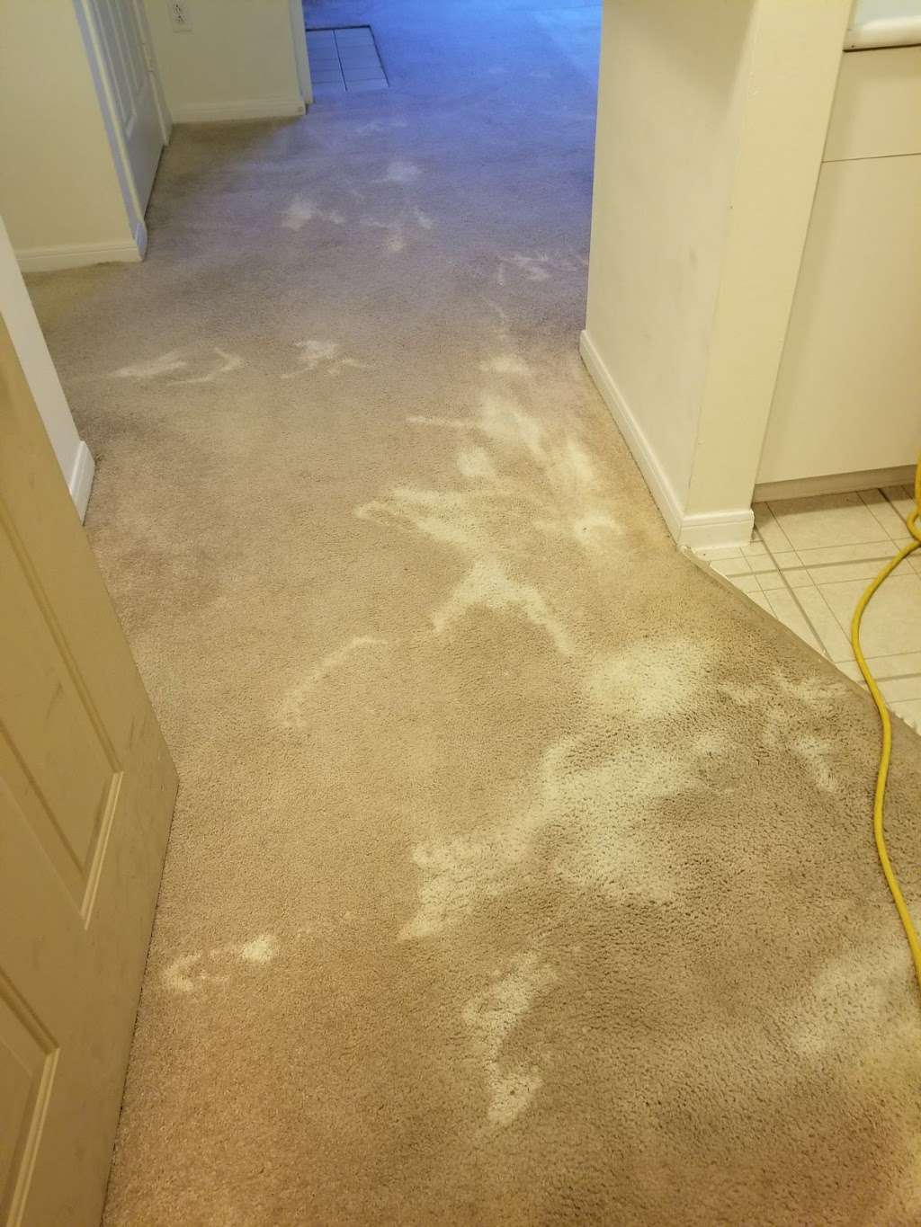 Carpet Cleaning Lehigh Valley | 250 Pine Valley Terrace, Easton, PA 18042, USA | Phone: (484) 212-0950