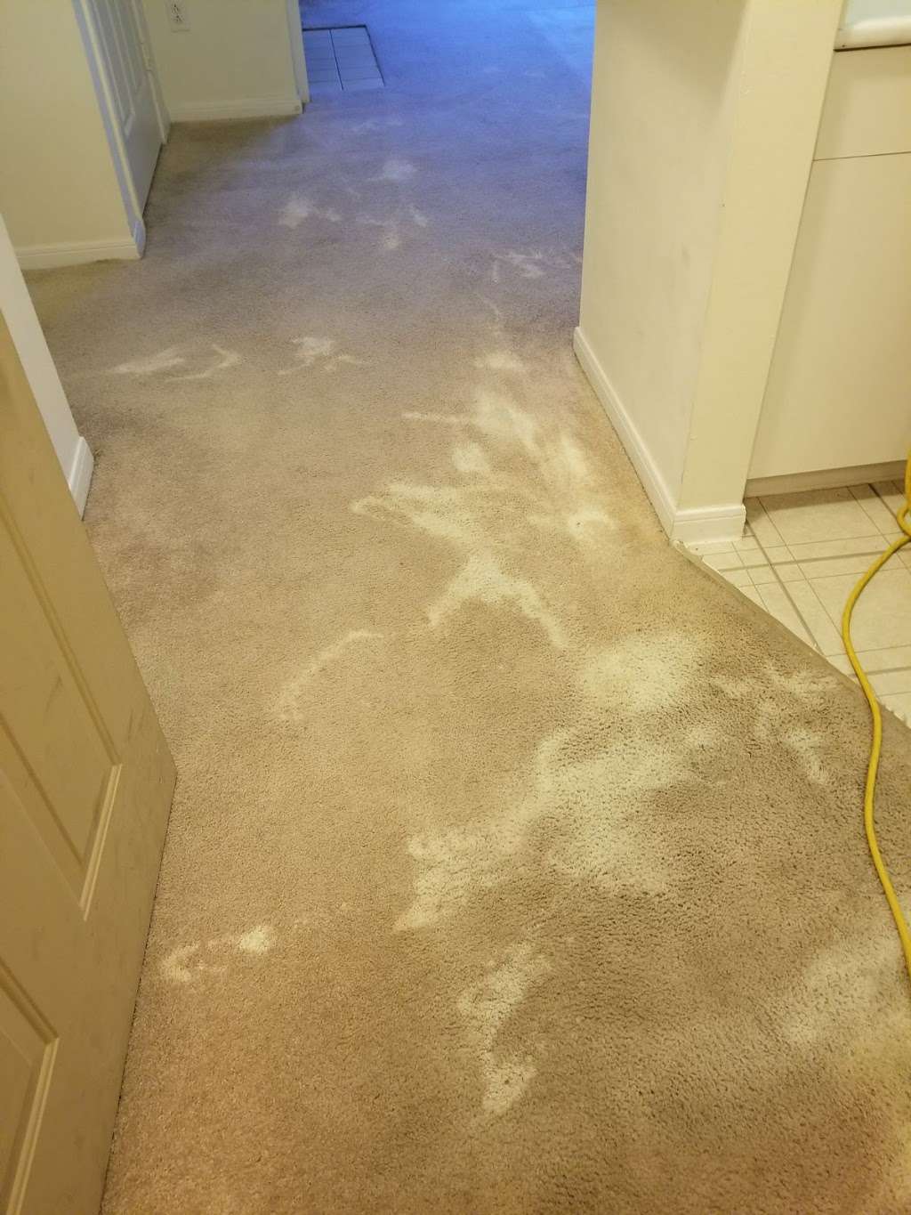 Carpet Cleaning Lehigh Valley | 250 Pine Valley Terrace, Easton, PA 18042 | Phone: (484) 212-0950