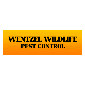 Wildlife Pest Control | 4508 Darby St, Center Valley, PA 18034, USA | Phone: (610) 797-7944