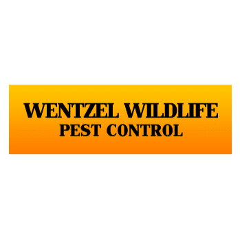 Wildlife Pest Control | 4508 Darby St, Center Valley, PA 18034 | Phone: (610) 797-7944