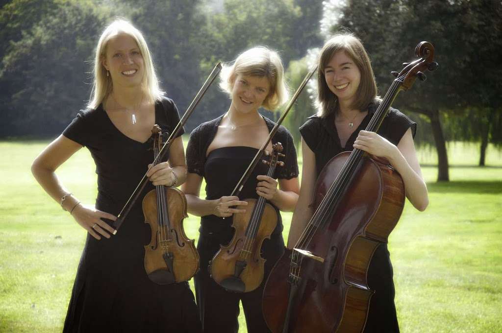 Melisma Music for all Occasions | 29 Doods Rd, Reigate RH2 0NT, UK | Phone: 01737 249839