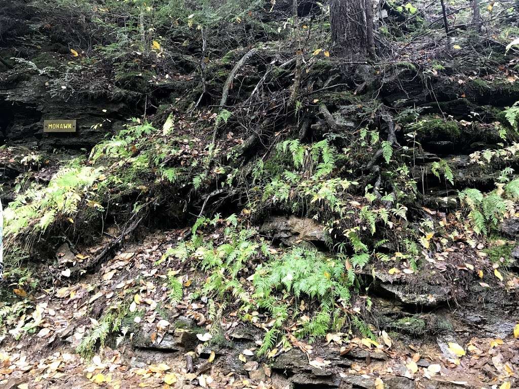 Falls Trail | Ricketts Glen Falls Trail, Benton, PA 17814, USA