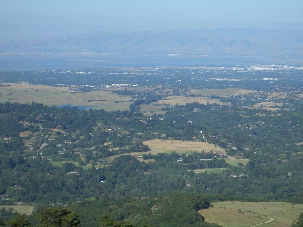 Windy Hill | Hamms Gulch Trail, Portola Valley, CA 94028, USA