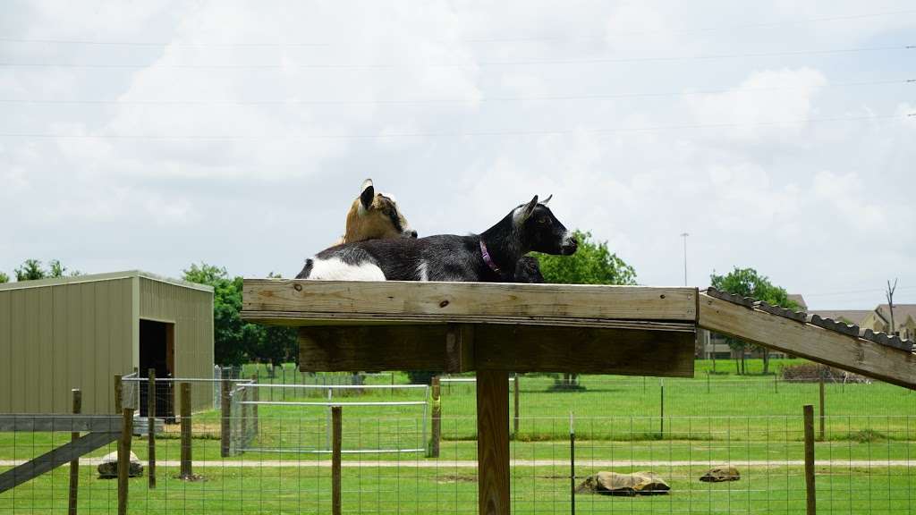 River Pointe Church | 21000 Southwest Fwy, Richmond, TX 77469, USA | Phone: (281) 277-6767