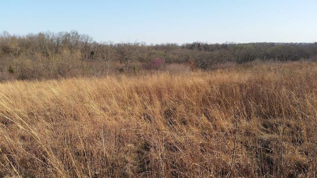 Burr Oak Woods Nature Center | 1401 NW Park Rd, Blue Springs, MO 64015, USA | Phone: (816) 228-3766