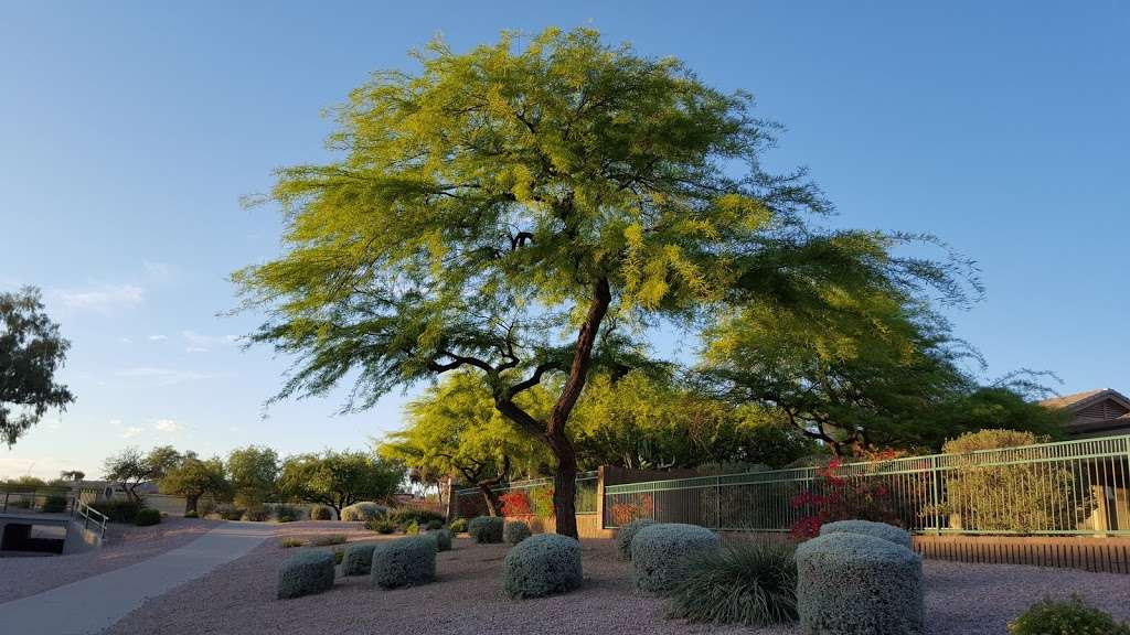 Sandpiper Park | 6530 E Hearn Rd, Phoenix, AZ 85004, USA | Phone: (602) 262-6696