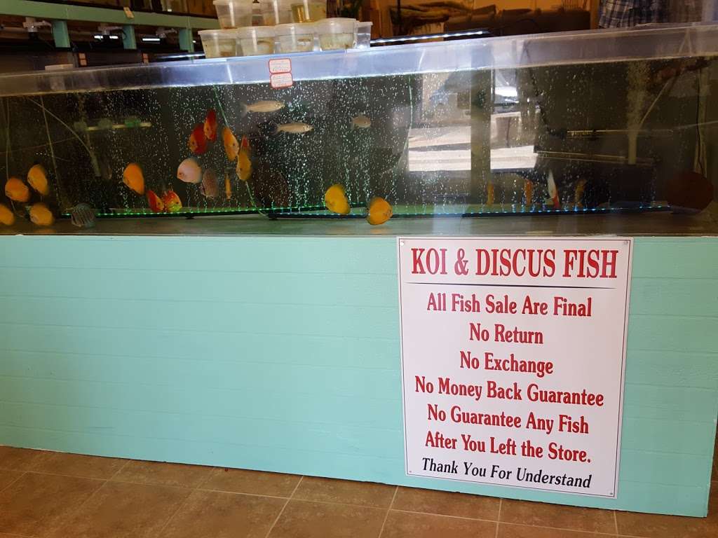 Aquarium Fresh Water Koi & Discus Fish | Phoenix, AZ 85037, USA