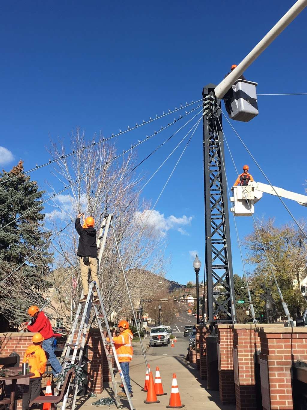 SavATree - Tree Service & Lawn Care | 4104 Sable Ave, Firestone, CO 80504 | Phone: (720) 204-1846