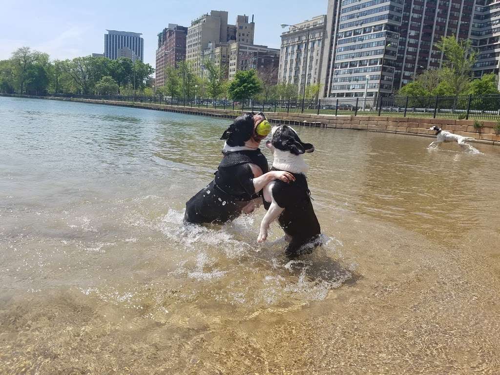 Belmont Harbor Dog Beach | N Lake Shore Dr & Lake Shore Drive Dr, Chicago, IL 60657, USA | Phone: (312) 742-7529