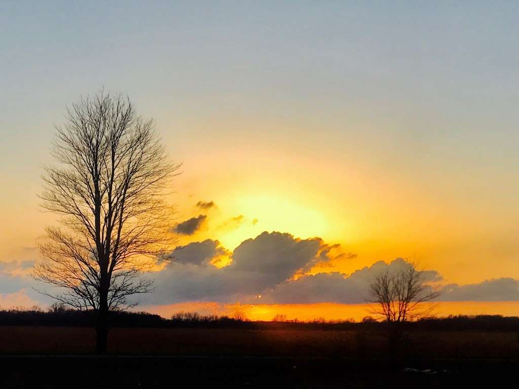 Grant Creek Prairie Nature Preserve | Wilmington, IL 60481, USA