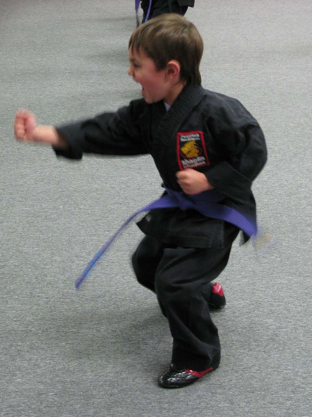 SDSS Martial Arts of Ridgefield | 15 Danbury Rd, Ridgefield, CT 06877 | Phone: (203) 431-5776