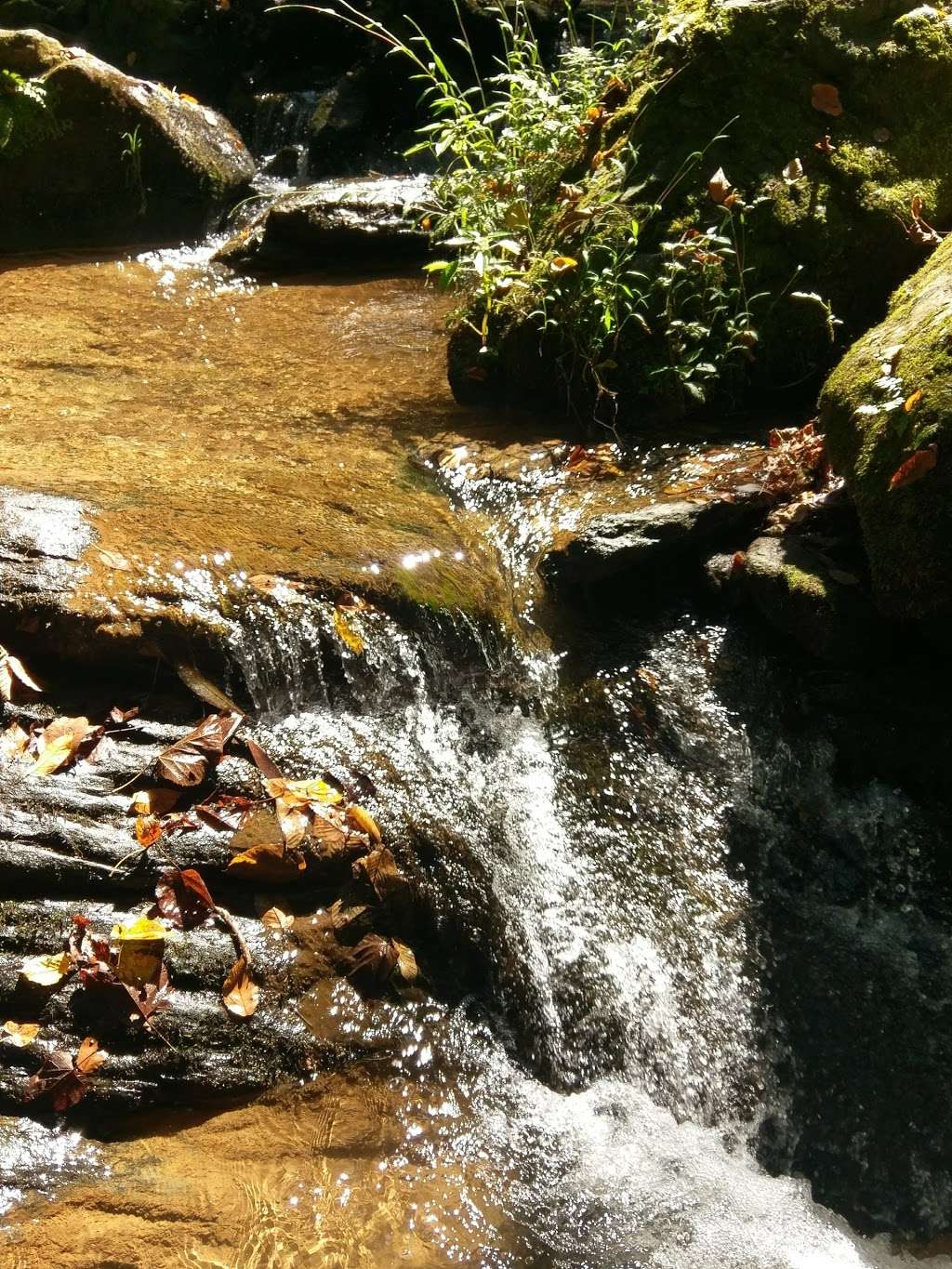 Mill Creek Falls (York Co.) Trail in River Rd, Airville, PA 17302, USA