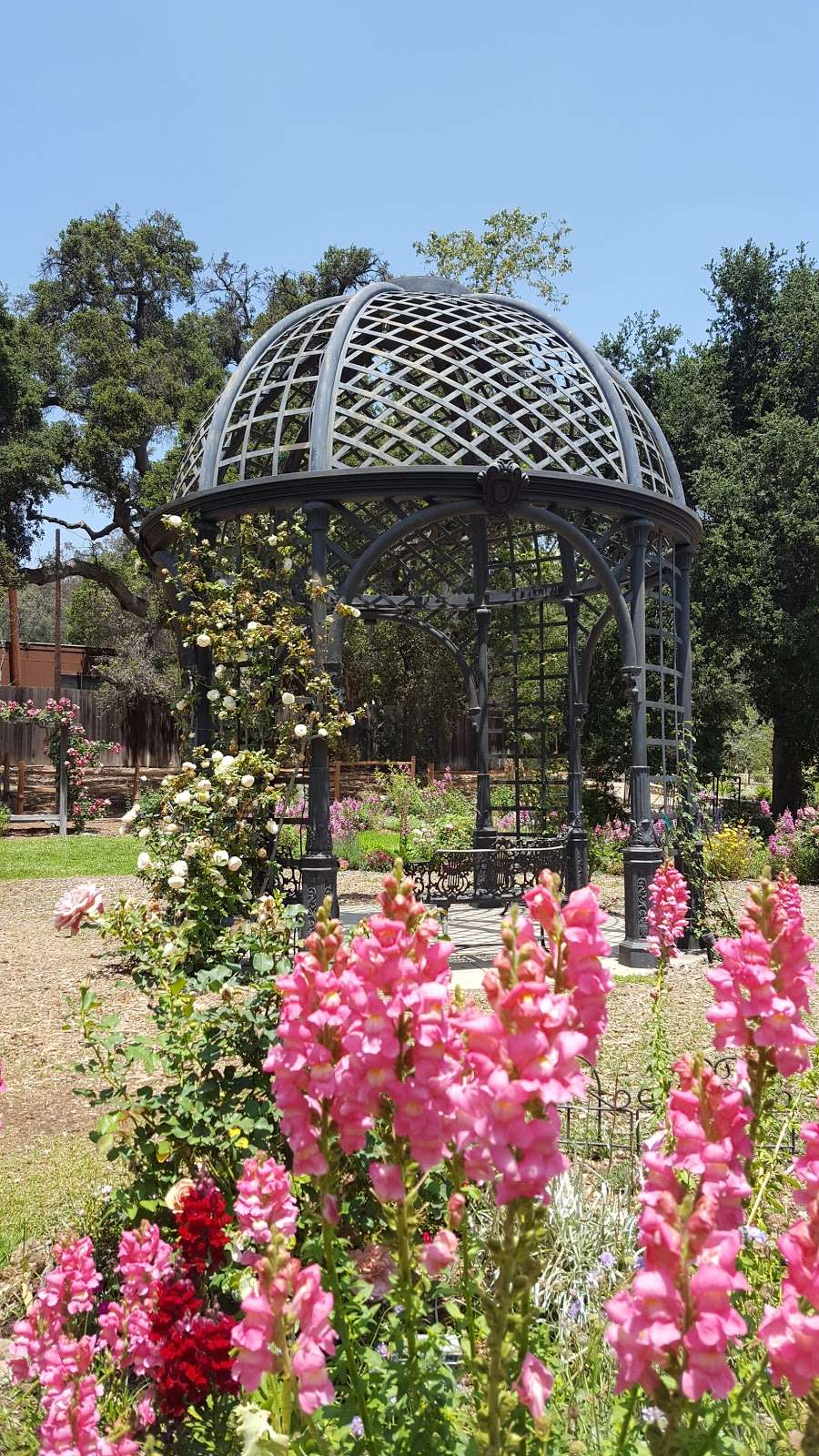 Descanso Gardens | 1418 Descanso Dr, La Cañada Flintridge, CA 91011, USA | Phone: (818) 949-4200