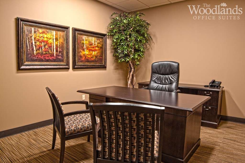 The Woodlands Office Suites | 1095 Evergreen Cir #200, The Woodlands, TX 77380, USA | Phone: (281) 210-0005