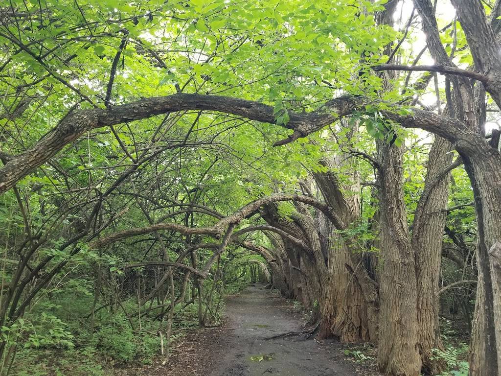 Great Plains Nature Center | 6232 East 29th St N #2200, Wichita, KS 67220, USA | Phone: (316) 683-5499