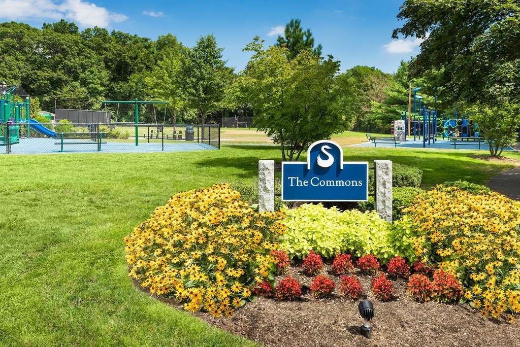 Stony Brook Commons | 390 Blue Ledge Dr, Roslindale, MA 02131, USA | Phone: (857) 203-0360