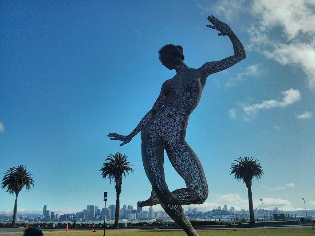 Great Lawn | Avenue of the Palms, San Francisco, CA 94130, USA | Phone: (415) 274-0688