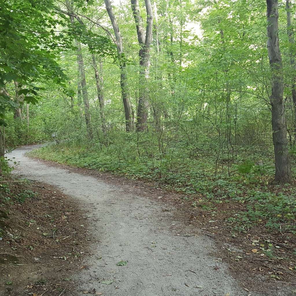 Turner Reservoir Loop Trailhead Parking | 400 Pleasant St, Rumford, RI 02916, USA