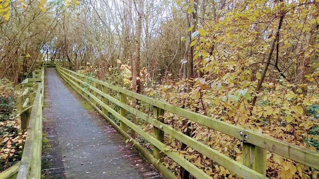 WaterWorks Centre Nature Reserve & Middlesex Filter Beds | Lammas Road, Leyton, London E10 7QB, UK | Phone: 020 8988 7566