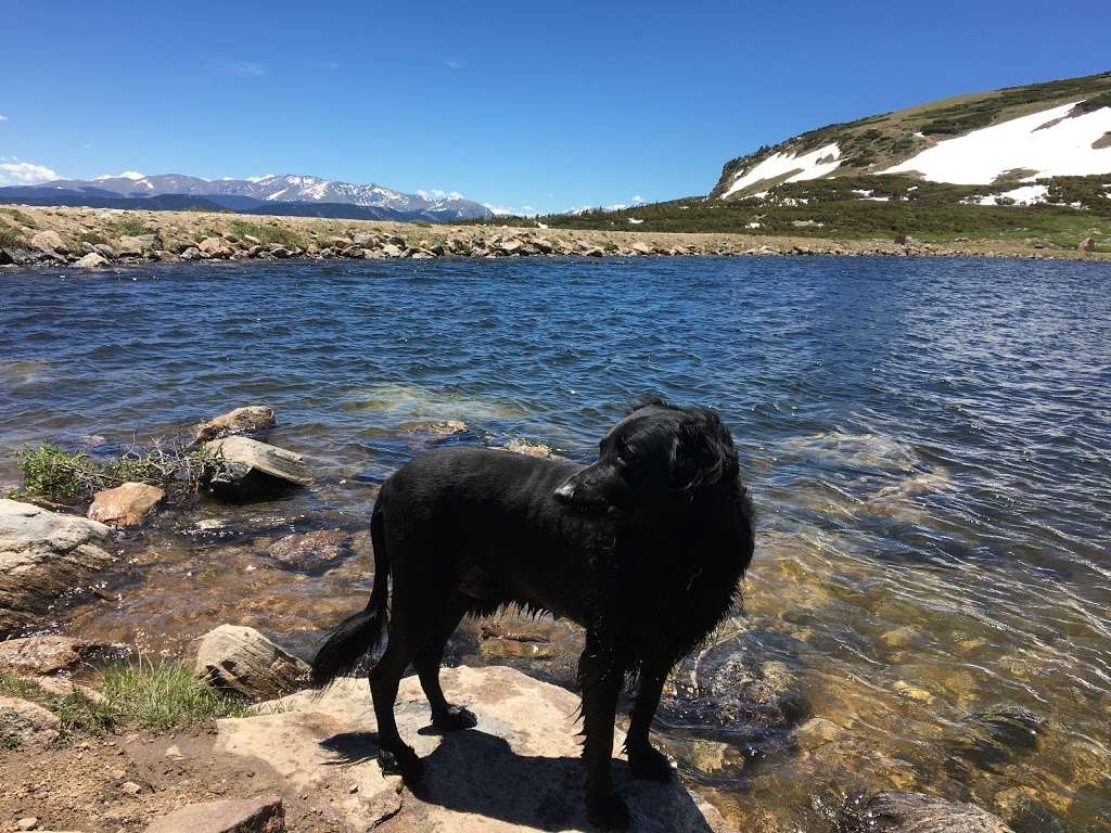 Long Lake Trail Head | Long Lake Rd, Ward, CO 80481