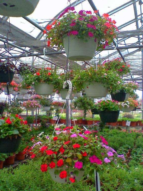 Clarkes Garden Center & Stone Depot | 7707, 2061 E Lincoln Hwy, Lynwood, IL 60411 | Phone: (708) 758-8500