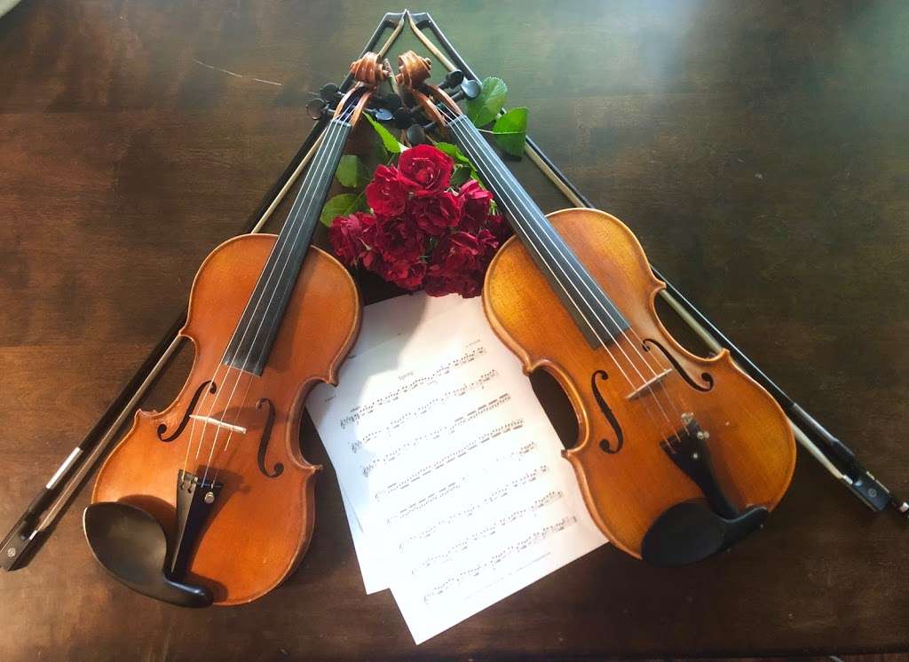 Two Sisters Violin | 7776 E, CO-14, Fort Collins, CO 80524, USA | Phone: (970) 217-2823