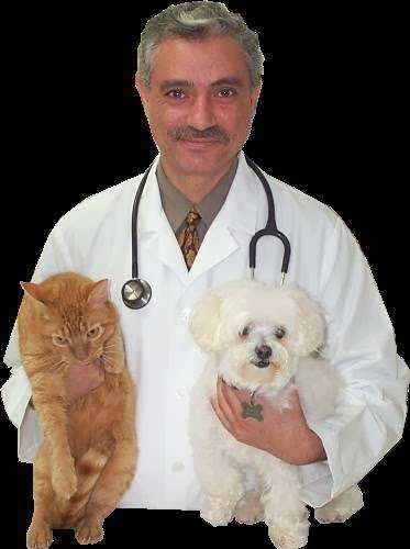 21 Ave Animal Clinic | 21-27 21st Ave, Astoria, NY 11105, USA | Phone: (718) 777-5452