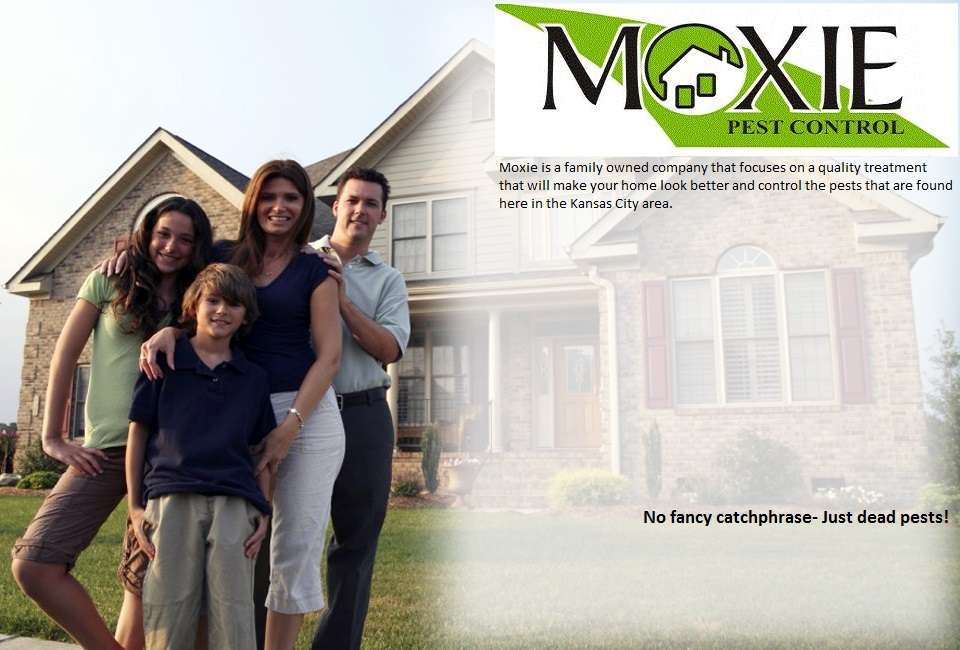 Moxie Pest Control | 1251 NW Pamela Blvd a, Grain Valley, MO 64029, USA | Phone: (816) 524-9090