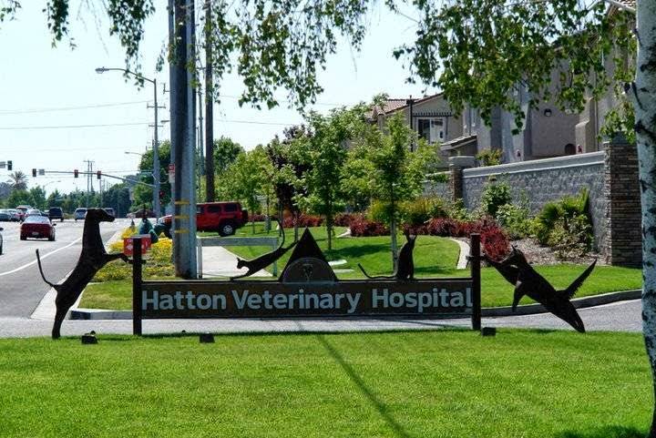 Hatton Veterinary Hospital | 7615 Sheldon Rd, Elk Grove, CA 95758, USA | Phone: (916) 689-1688