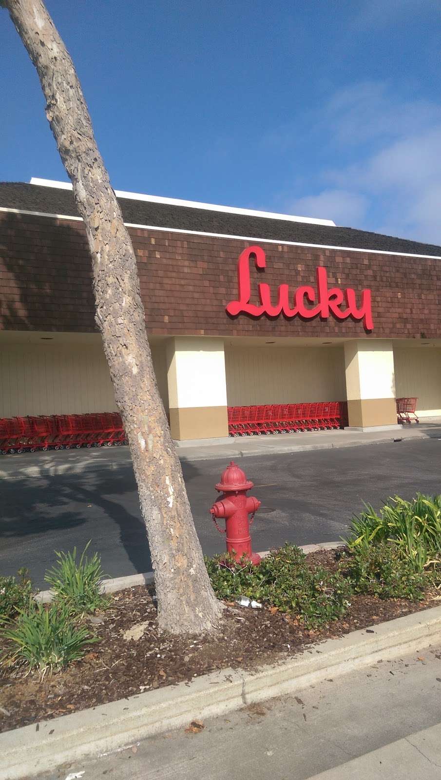 Lucky | 6109 Meridian Ave, San Jose, CA 95120, USA | Phone: (408) 997-3100