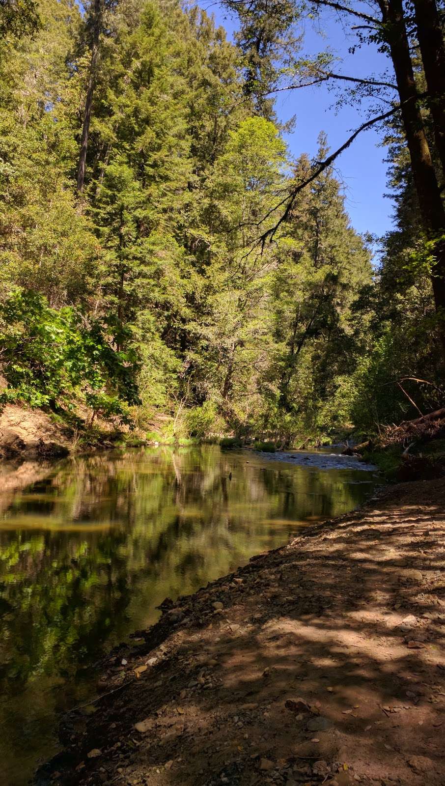 Point Group Camp, Portola Redwoods State Park | Point Group Camp Rd, La Honda, CA 94020, USA Point Group Camp, Portola Redwoods State Park | Point Group Camp Rd, La Honda, CA 94020, USA