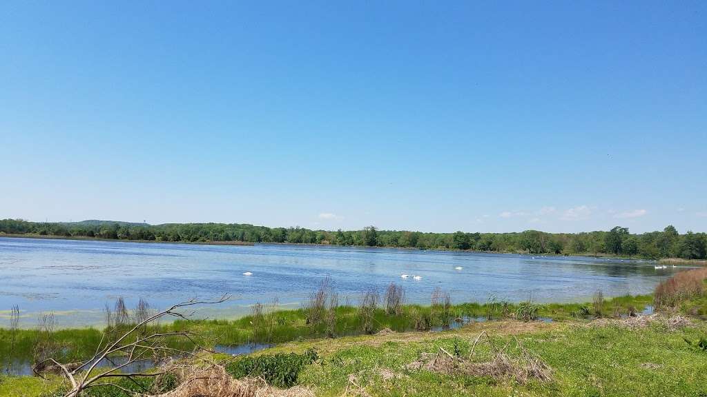 Hyper Humus Marsh | Newton, NJ 07860, USA