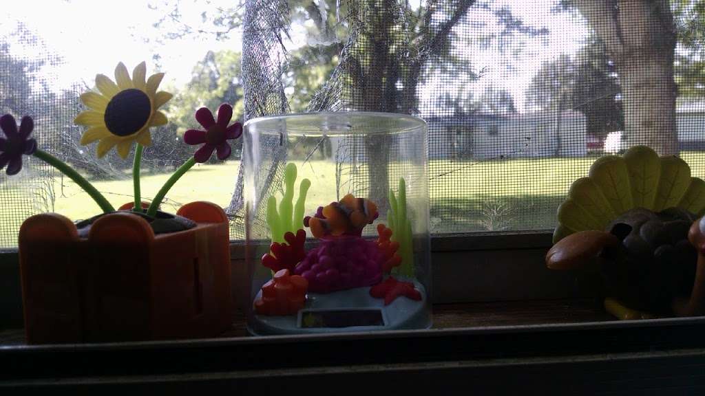 M & M Carpet Cleaning | 601 Murdock Rd, Troutman, NC 28166, USA | Phone: (704) 873-7909