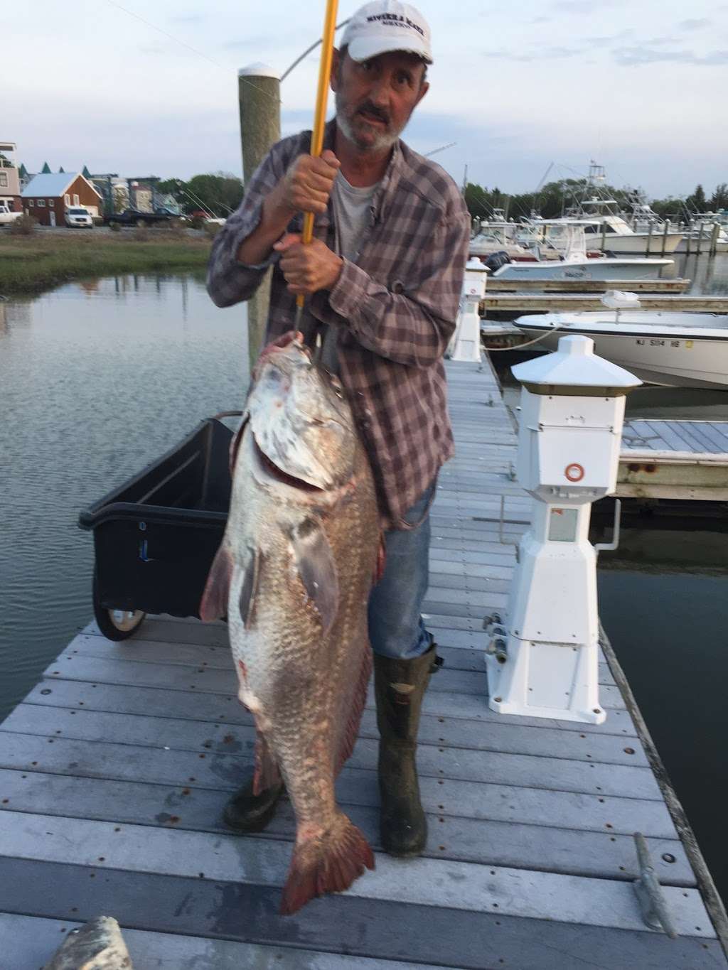 Cape May Bait & Tackle | 719 Broadway, West Cape May, NJ 08204, USA | Phone: (609) 898-6001