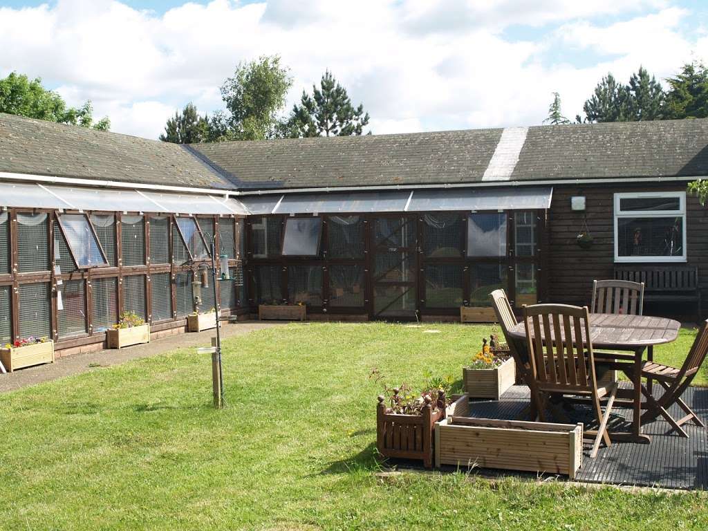 Stable Mews Cattery | Stable Lodge, Pye Corner, Gilston CM20 2RB, UK | Phone: 01279 444165