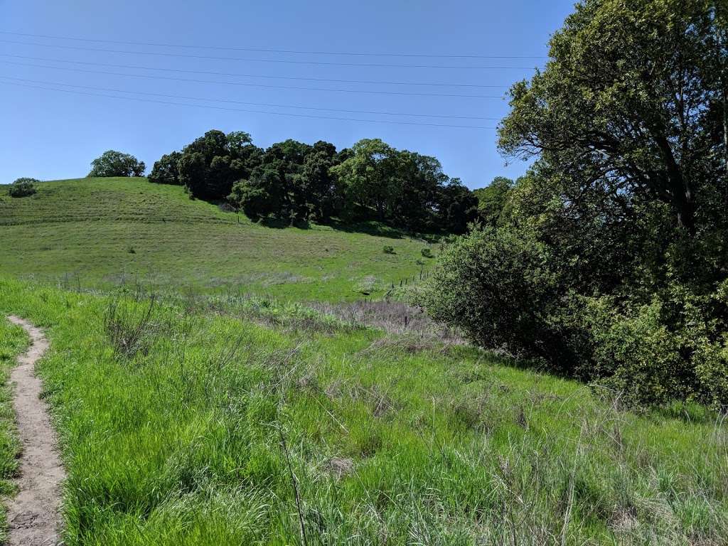 Deer Island Open Space | 320 Deer Island Ln, Novato, CA 94945, USA