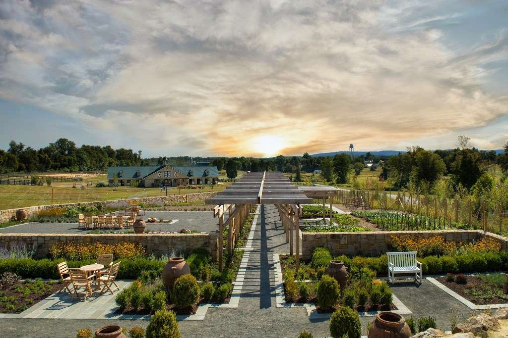 Salamander Resort & Spa | 500 N Pendleton St, Middleburg, VA 20117, USA | Phone: (844) 303-2723