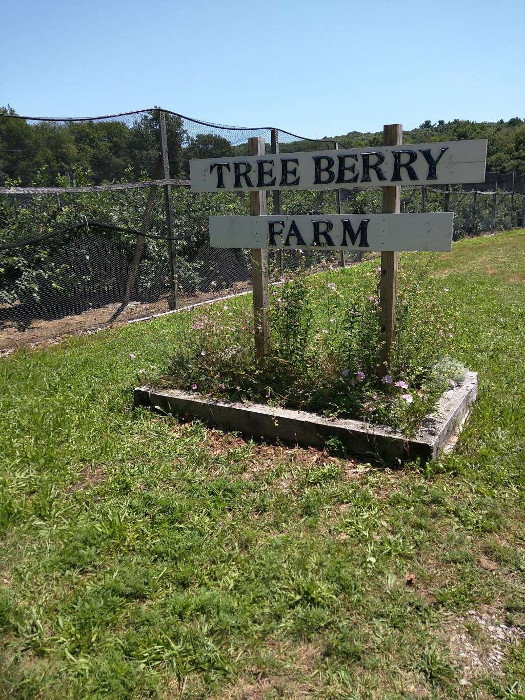 Tree-Berry Farm | 135 Cornet Stetson Rd, Scituate, MA 02066, USA | Phone: (781) 545-7750