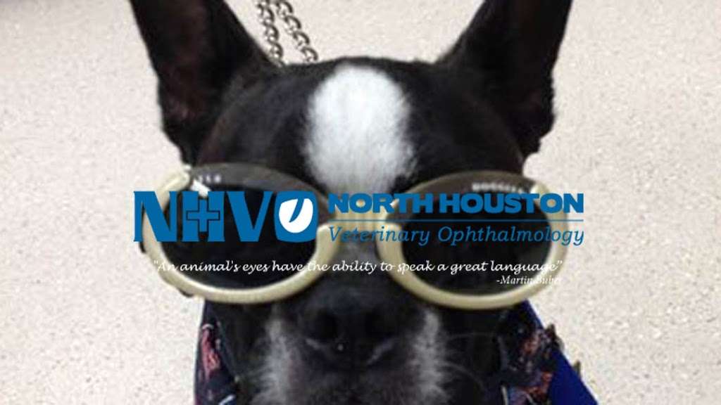 North Houston Veterinary Ophthalmology | 1646 Spring Cypress Rd #116, Spring, TX 77388 | Phone: (832) 616-5005